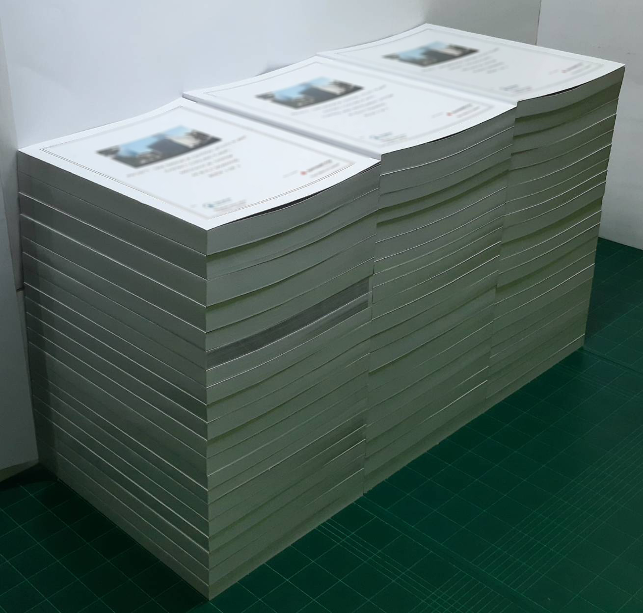 ผลงานเข้าเล่มพับครึ่งทากาว เล่ม A1 พับเป็น A2 ปริ้นสีลงปก พร้อมเคลือบ